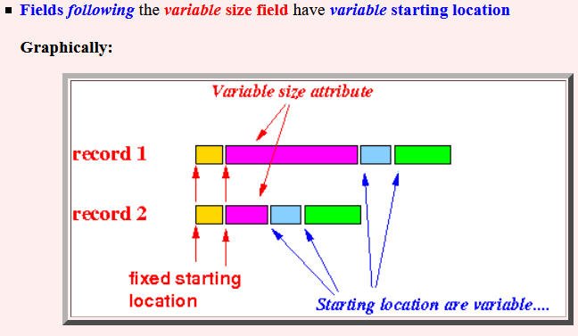 Problem Caused By A Variable Length Data Field